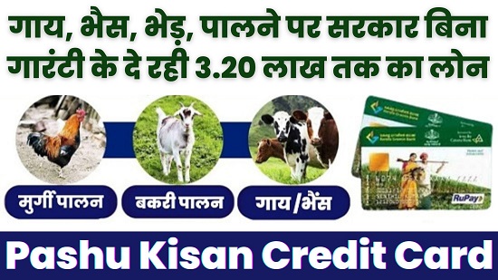 Pashu Kisan Credit Card